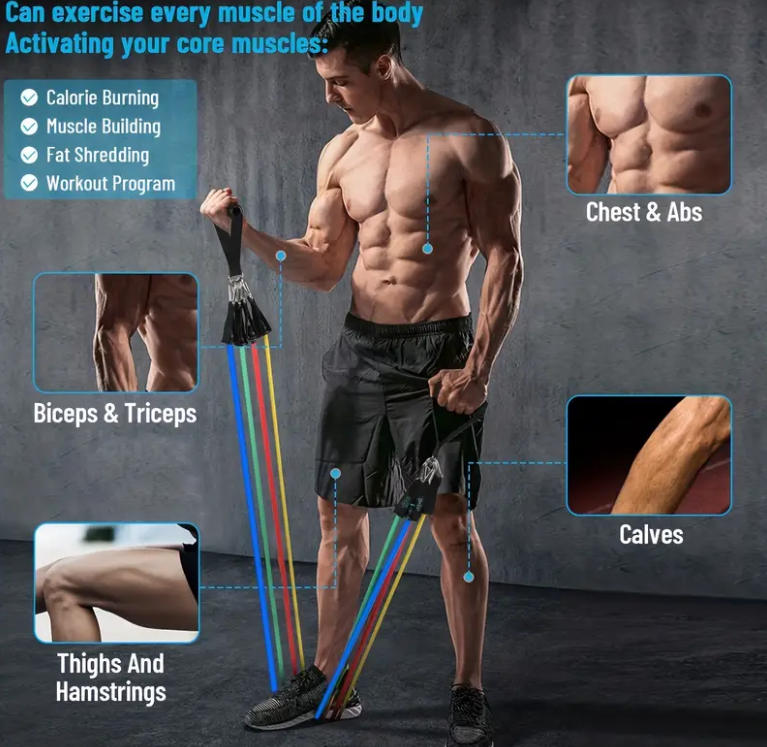 Power Resistance Band | Set Of 5