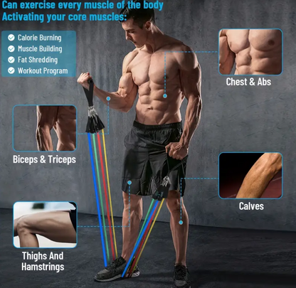 Power Resistance Band | Set Of 5